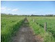 Malanda QLD 4885