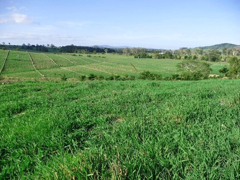 Malanda QLD 4885