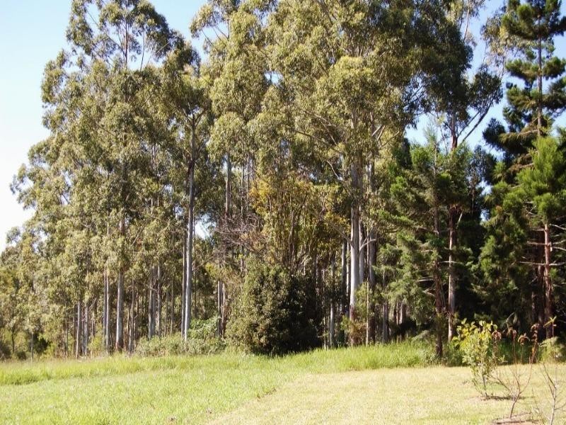 Ravenshoe QLD 4888