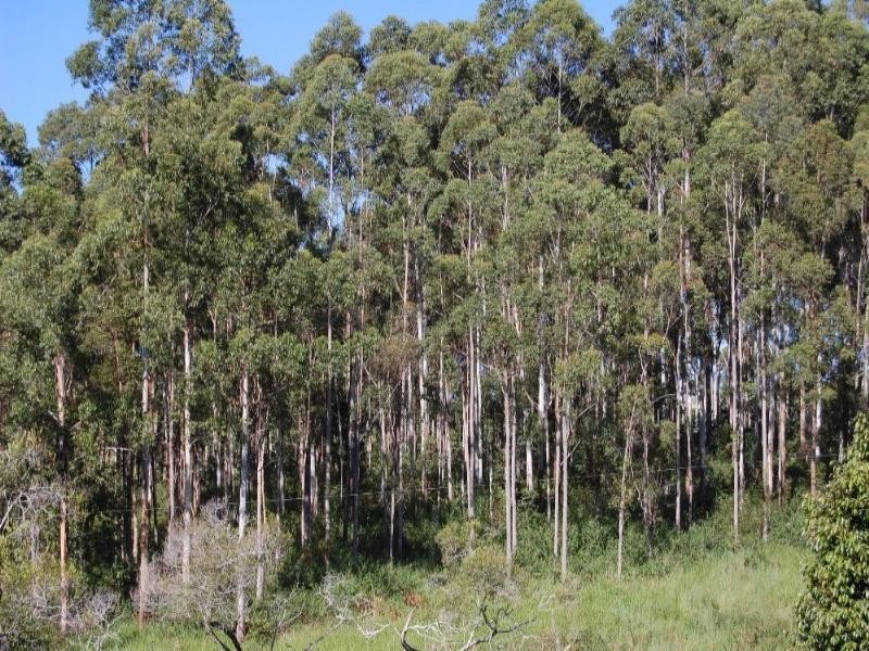 Ravenshoe QLD 4888