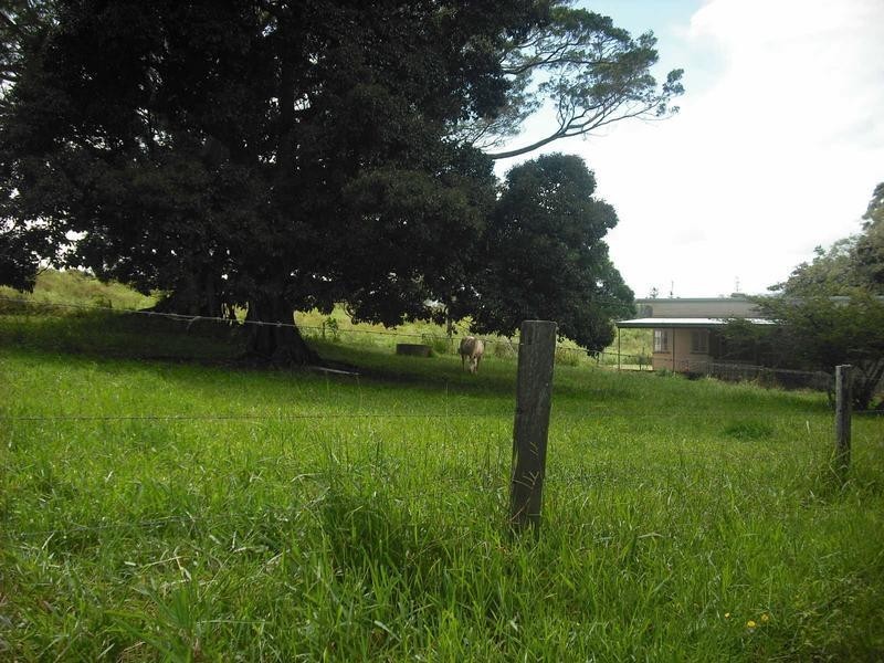 128 Andrickson Road, Upper Barron QLD 4883