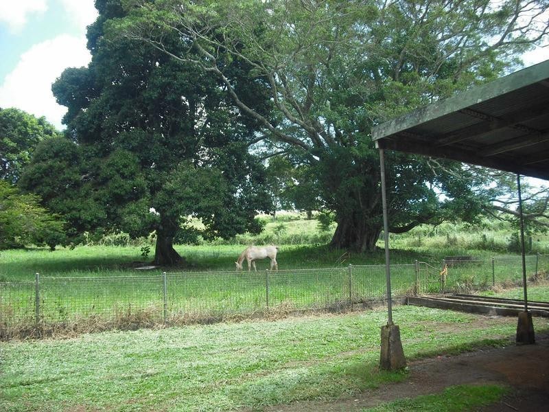 128 Andrickson Road, Upper Barron QLD 4883