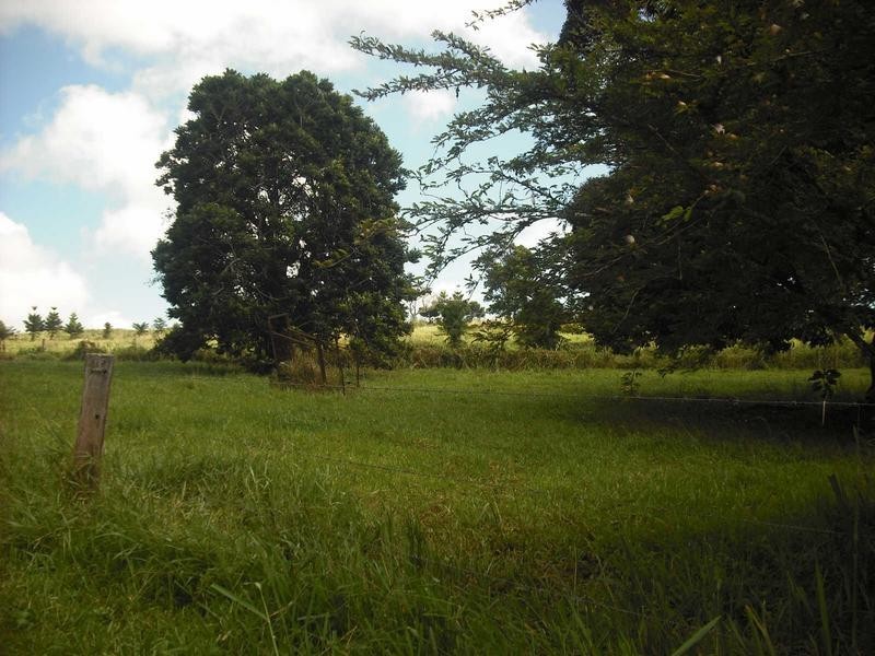 128 Andrickson Road, Upper Barron QLD 4883