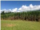 674 Syndicate Road, Mossman QLD 4873