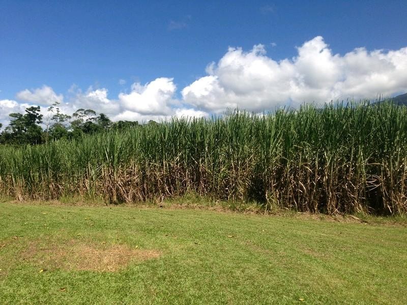 674 Syndicate Road, Mossman QLD 4873