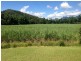 674 Syndicate Road, Mossman QLD 4873