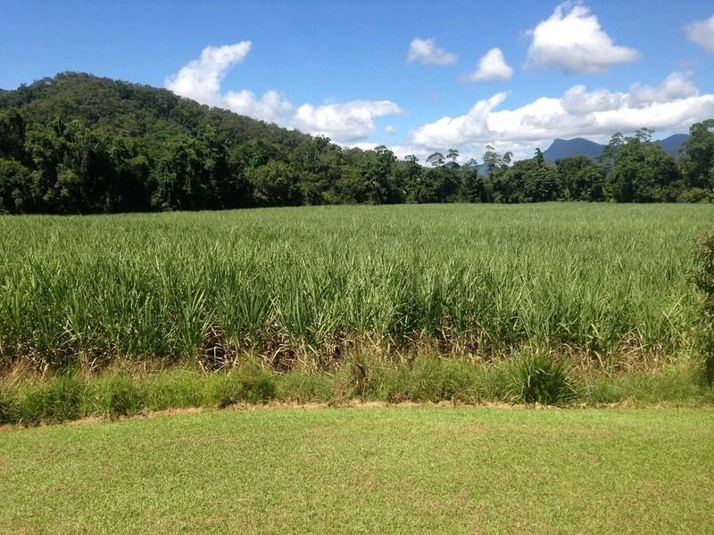674 Syndicate Road, Mossman QLD 4873