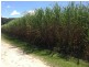 674 Syndicate Road, Mossman QLD 4873