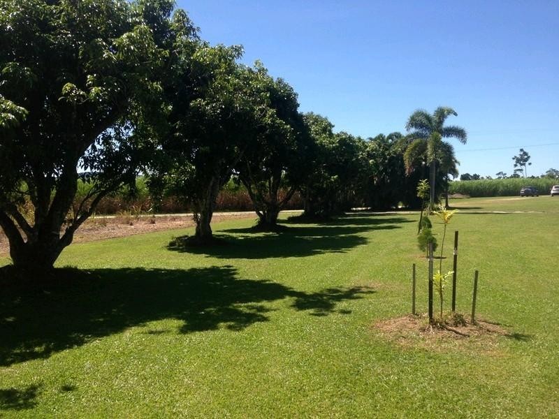 674 Syndicate Road, Mossman QLD 4873
