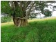 Peeramon QLD 4885