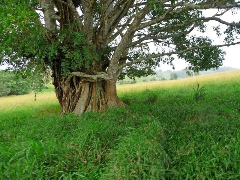 Peeramon QLD 4885