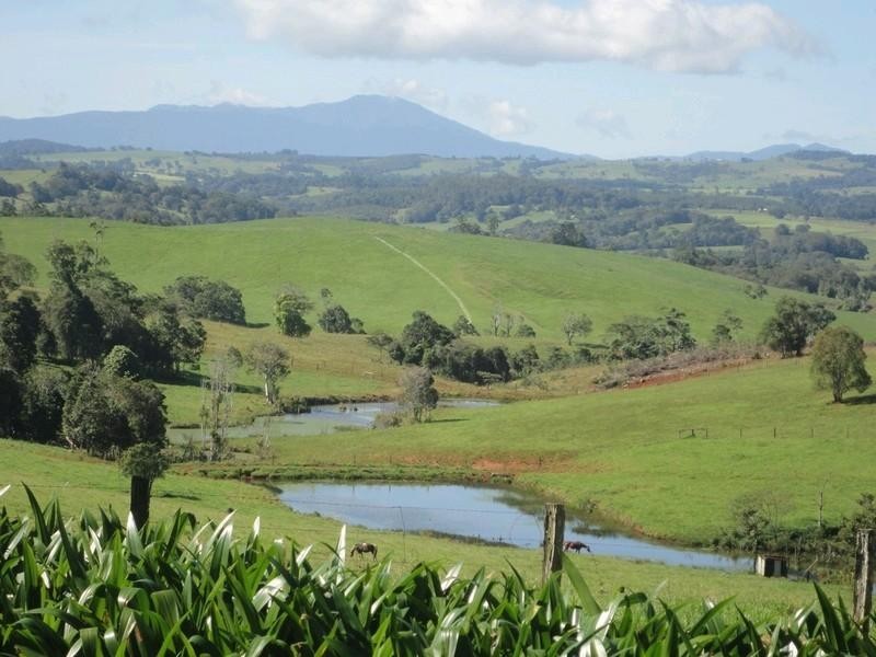122 Hogan Road, Tarzali QLD 4885