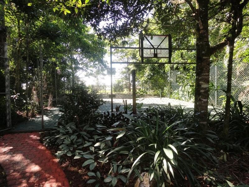 122 Hogan Road, Tarzali QLD 4885