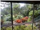 122 Hogan Road, Tarzali QLD 4885