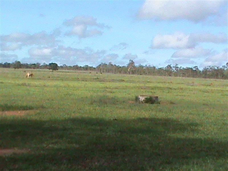Mount Garnet QLD 4872