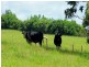 Peeramon QLD 4885