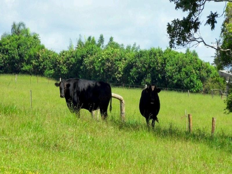 Peeramon QLD 4885