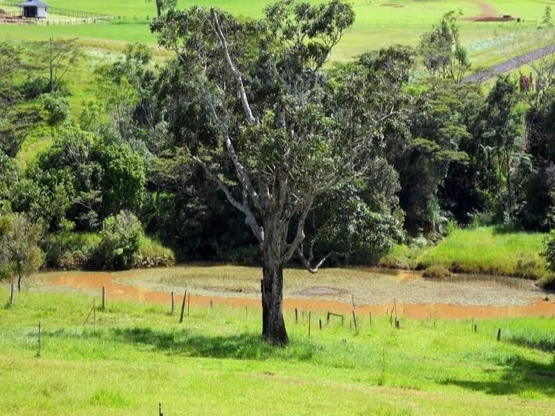Peeramon QLD 4885