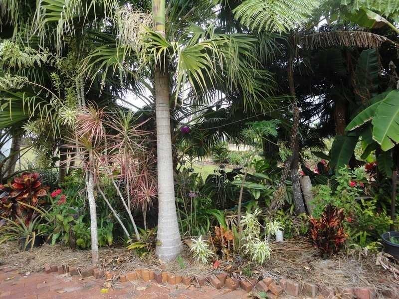 Yungaburra QLD 4884