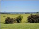 Yungaburra QLD 4884