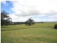 Yungaburra QLD 4884