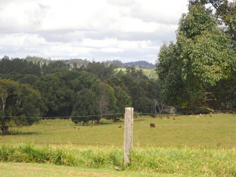 Yungaburra QLD 4884