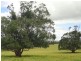 Yungaburra QLD 4884