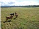 Wondecla QLD 4887