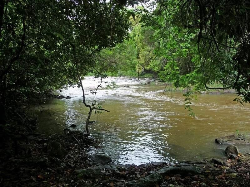 Malanda QLD 4885