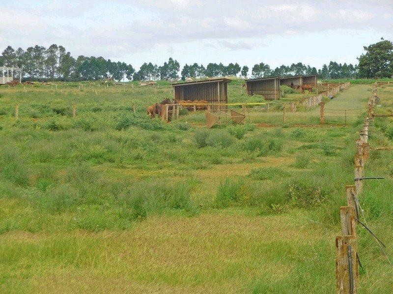 204 Graham Road, Tolga QLD 4882