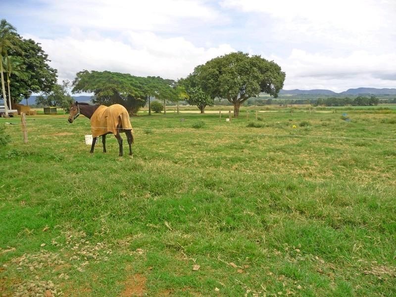 204 Graham Road, Tolga QLD 4882