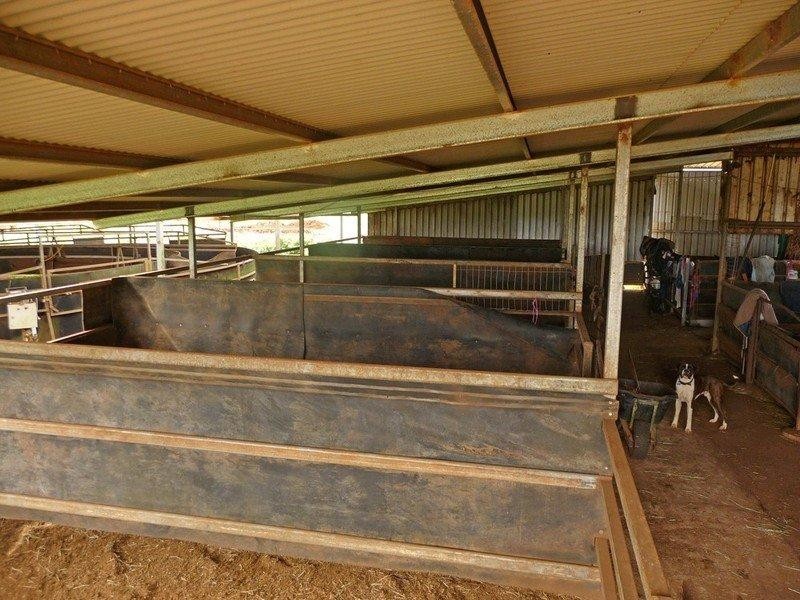 204 Graham Road, Tolga QLD 4882