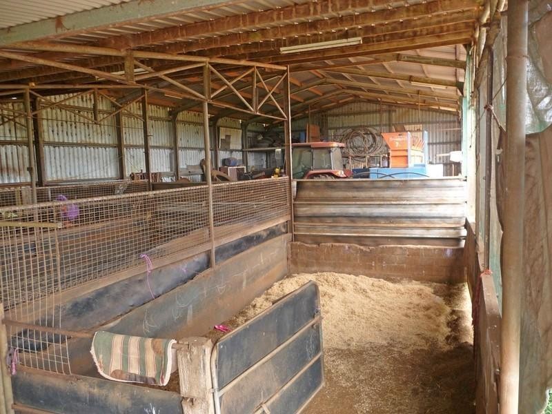 204 Graham Road, Tolga QLD 4882