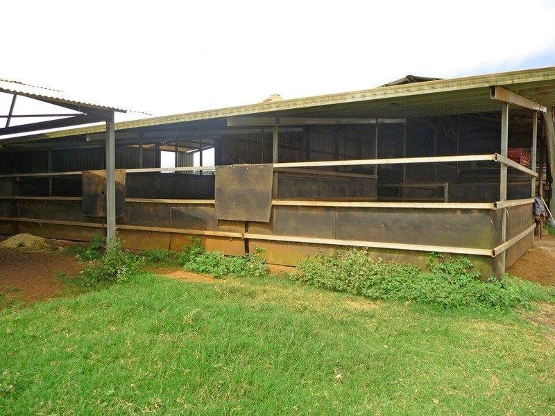 204 Graham Road, Tolga QLD 4882