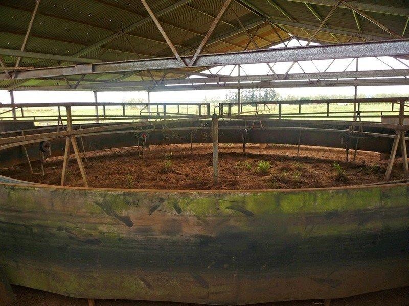 204 Graham Road, Tolga QLD 4882