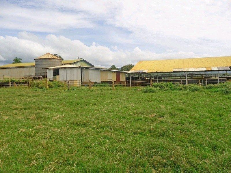 204 Graham Road, Tolga QLD 4882