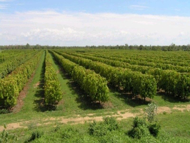 Georgetown QLD 4871