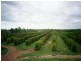 Georgetown QLD 4871