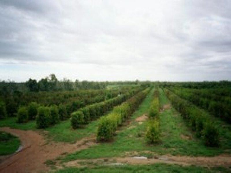 Georgetown QLD 4871
