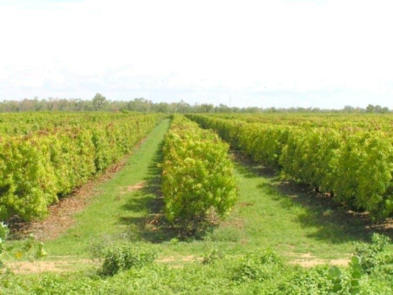 Georgetown QLD 4871