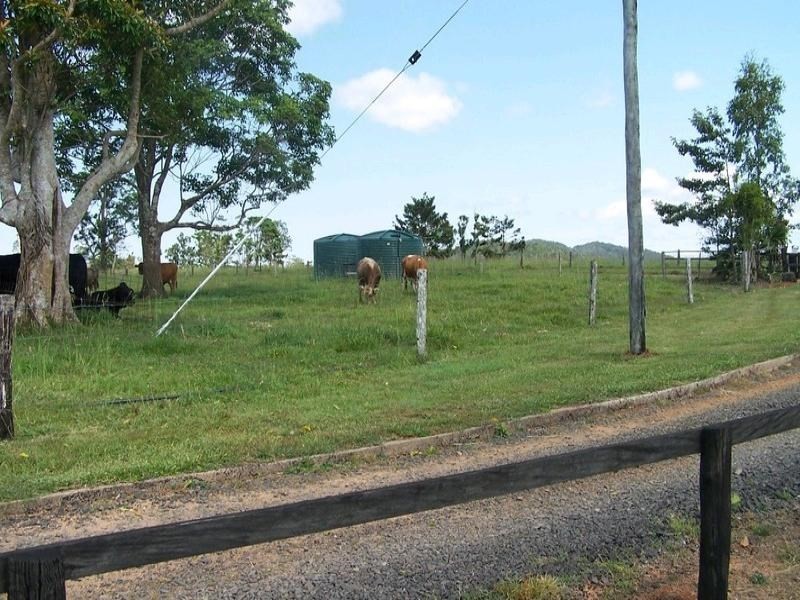 Millaa Millaa QLD 4886