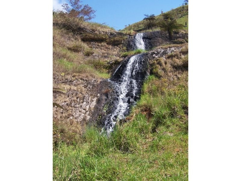 Millaa Millaa QLD 4886