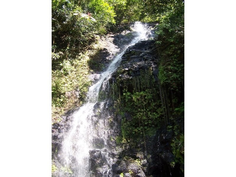 Millaa Millaa QLD 4886