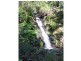 Millaa Millaa QLD 4886