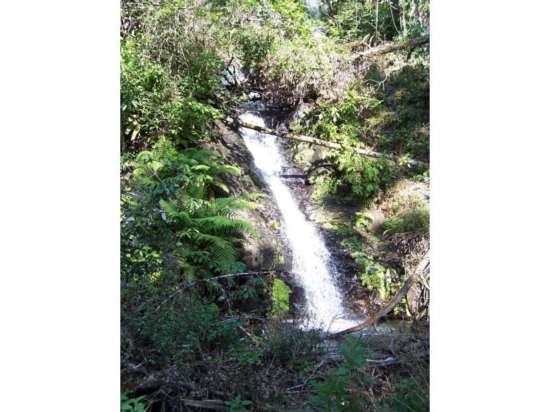 Millaa Millaa QLD 4886