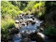 Millaa Millaa QLD 4886