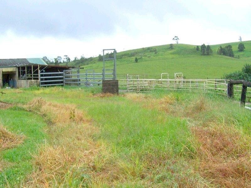 Millaa Millaa QLD 4886