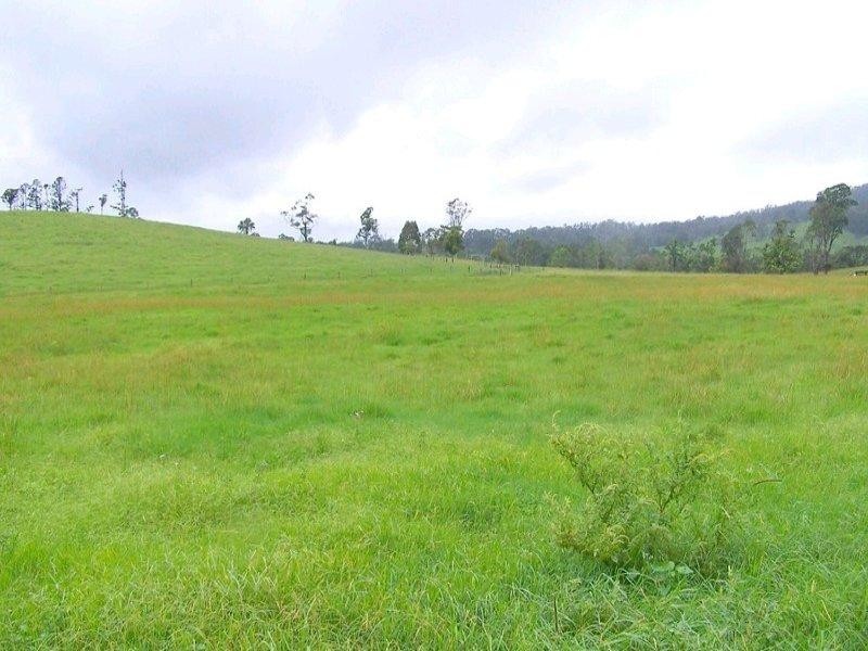 Millaa Millaa QLD 4886