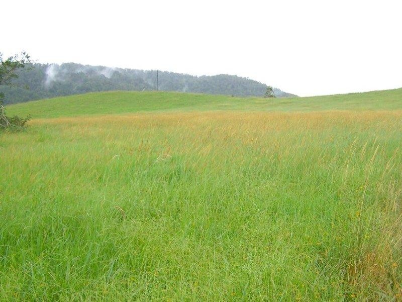 Millaa Millaa QLD 4886