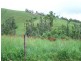 Millaa Millaa QLD 4886